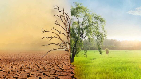 La Corte interamericana dichiara il clima stabile un diritto umano, chiedendo azioni urgenti a Stati e aziende contro la crisi climatica.