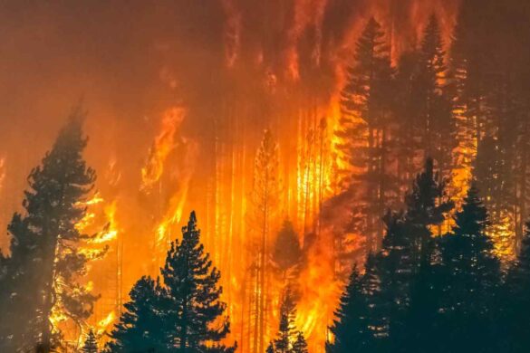 FireSat: il satellite che anticipa gli incendi con occhi a infrarossi
