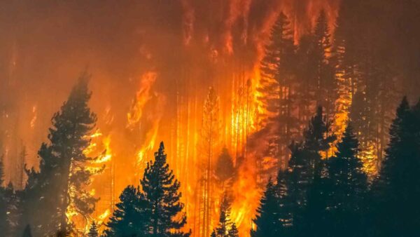 FireSat usa sensori a infrarossi per rilevare incendi boschivi in anticipo, creando una rete satellitare globale entro il 2030.