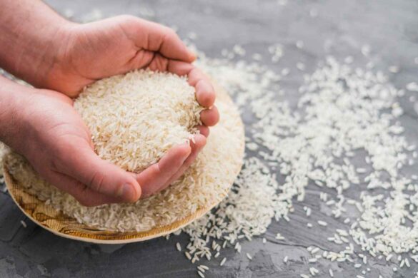CRISPR nello spazio: il futuro cibo per astronauti passa dal riso
