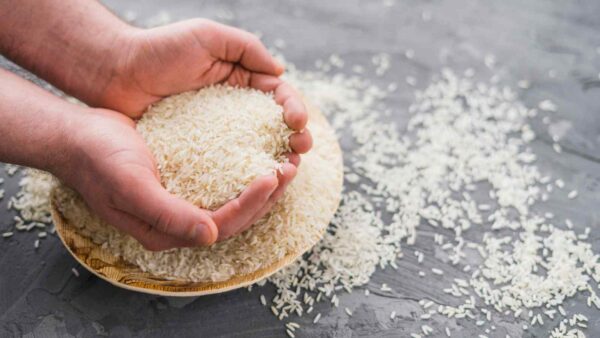 Un progetto italiano usa il CRISPR per coltivare riso nello spazio: compatto, nutriente e utile anche sulla Terra.