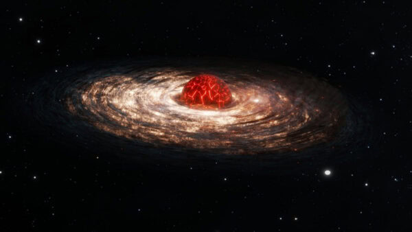 stelle