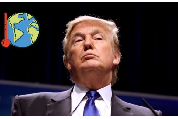 USA, polemica sui dati climatici: archivisti contro la rimozione