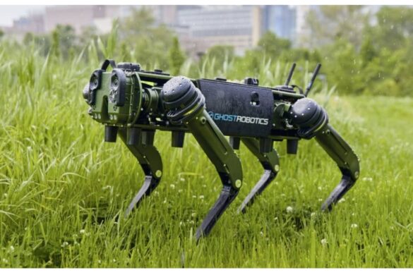 Cani Robot nel vento del deserto: automazione estrema in Cina