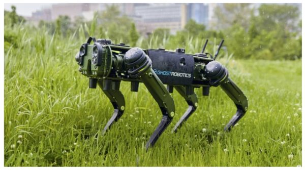 robot