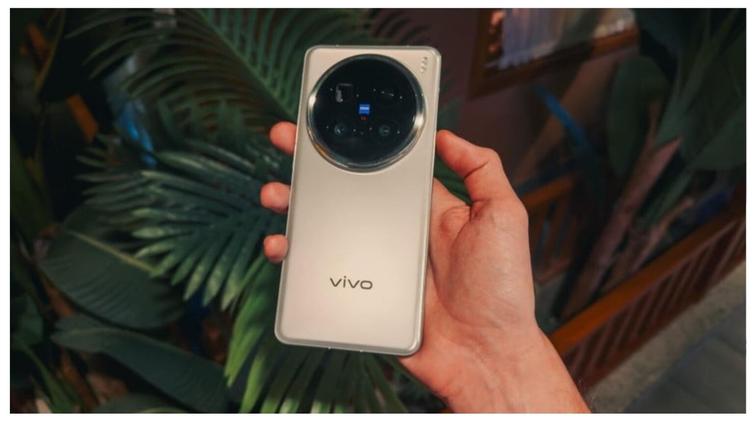 Vivo