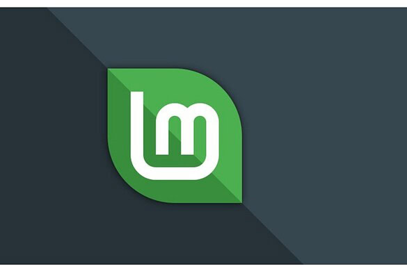 Linux Mint 22.2 Zara, la beta che guarda al futuro