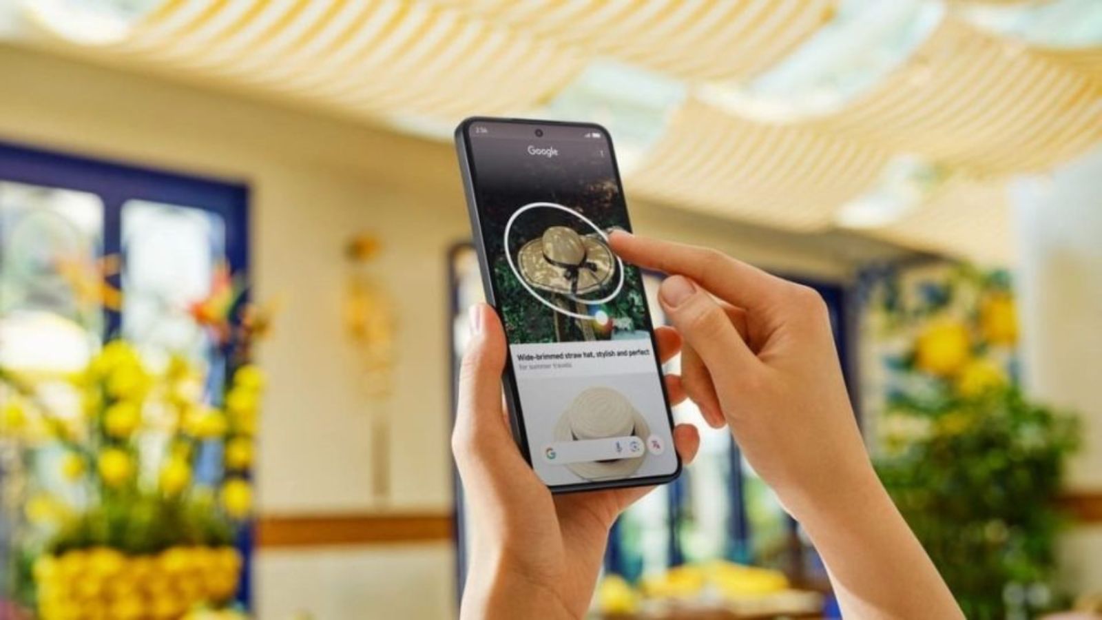 Cerchia e Cerca Google