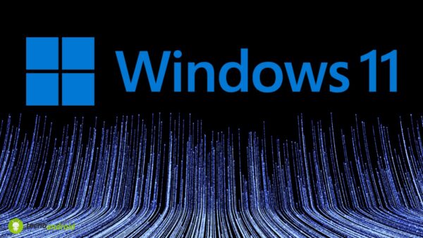 Windows 11