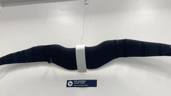 Droni voraci