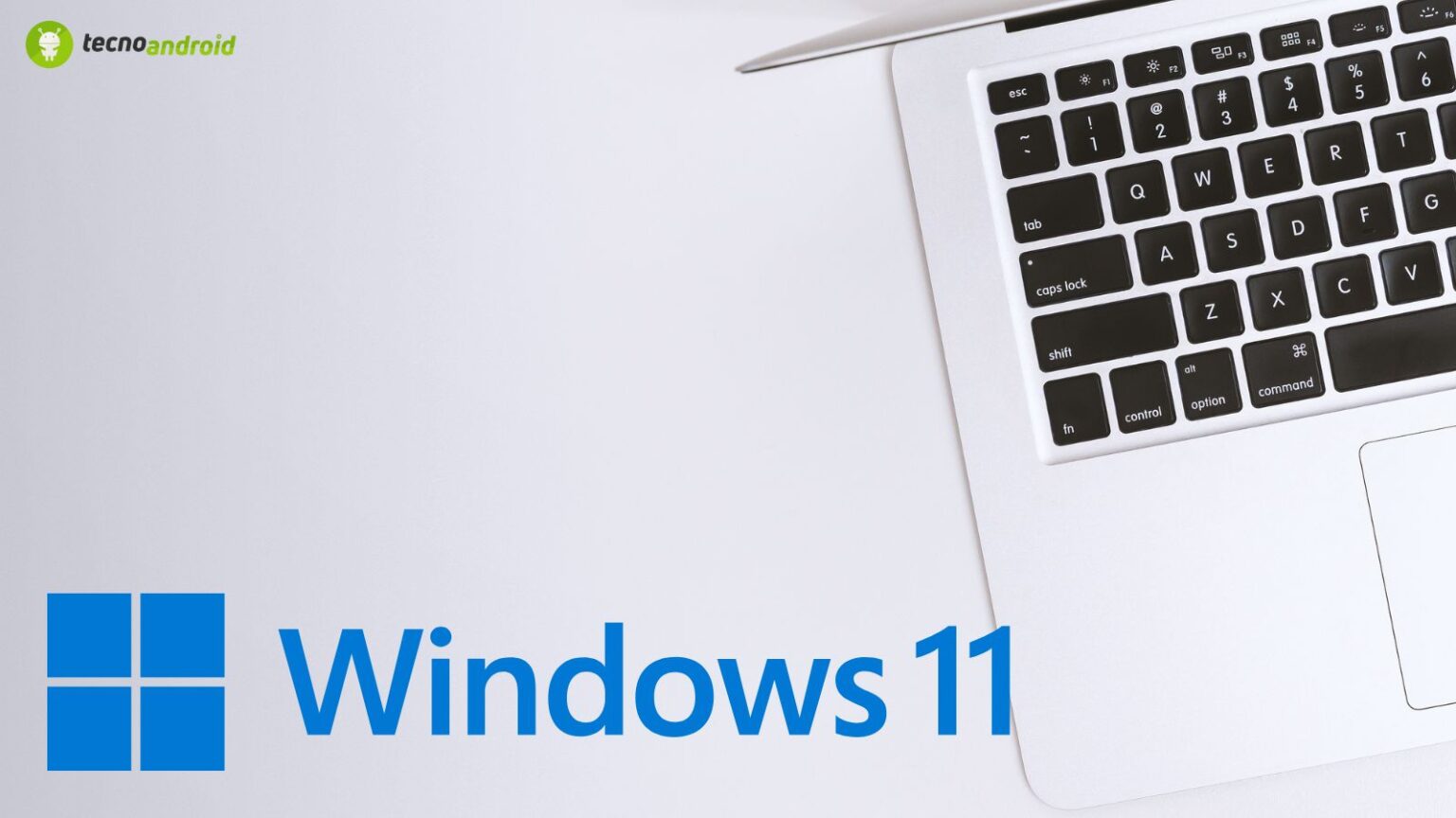 Windows 11