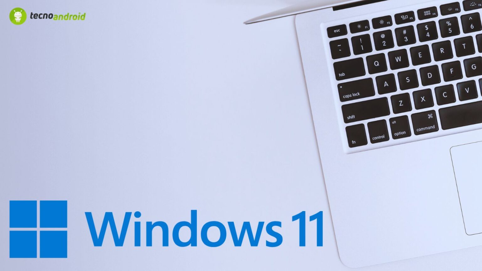Windows 11