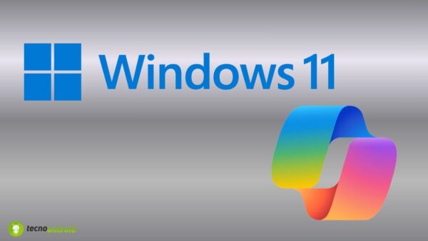 Windows 11