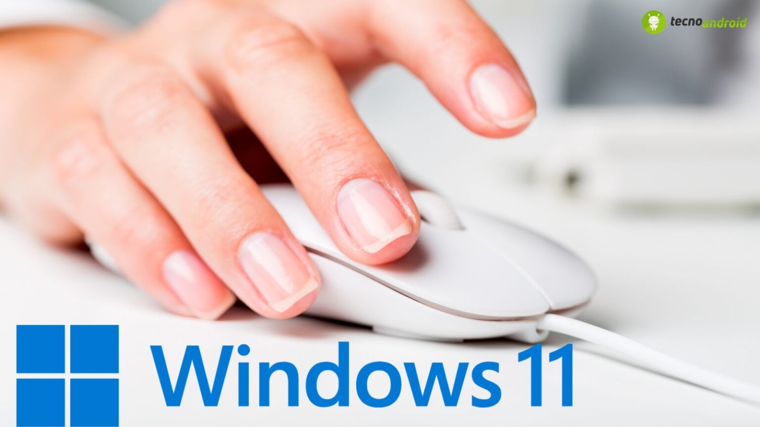 windows 11