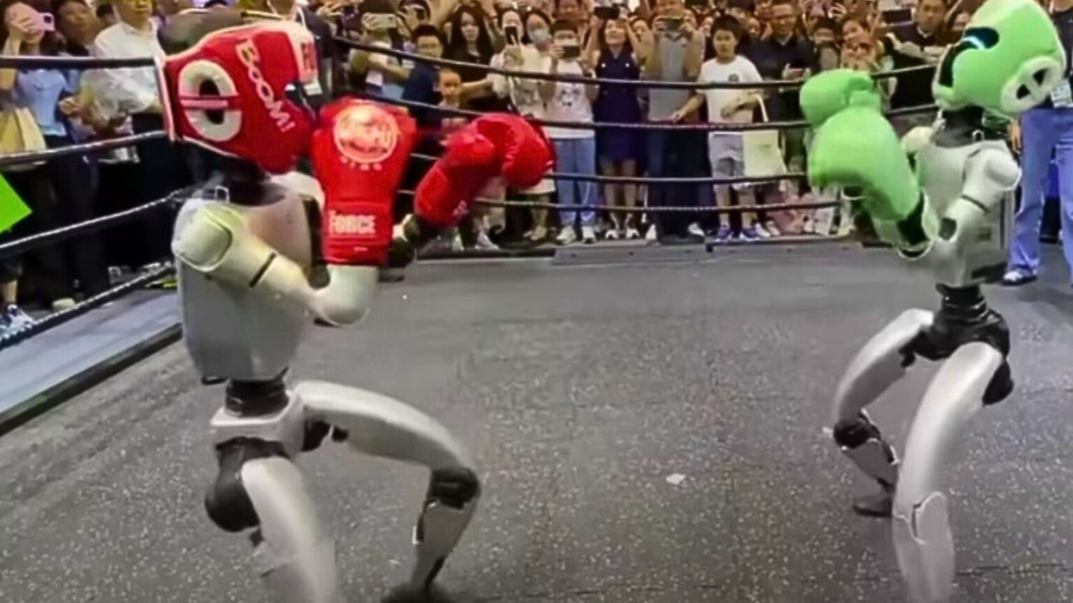 cina