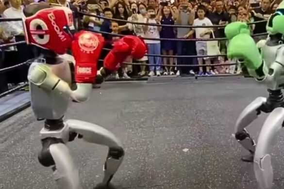 In Cina sono stati presentati i nuovi robot pugili