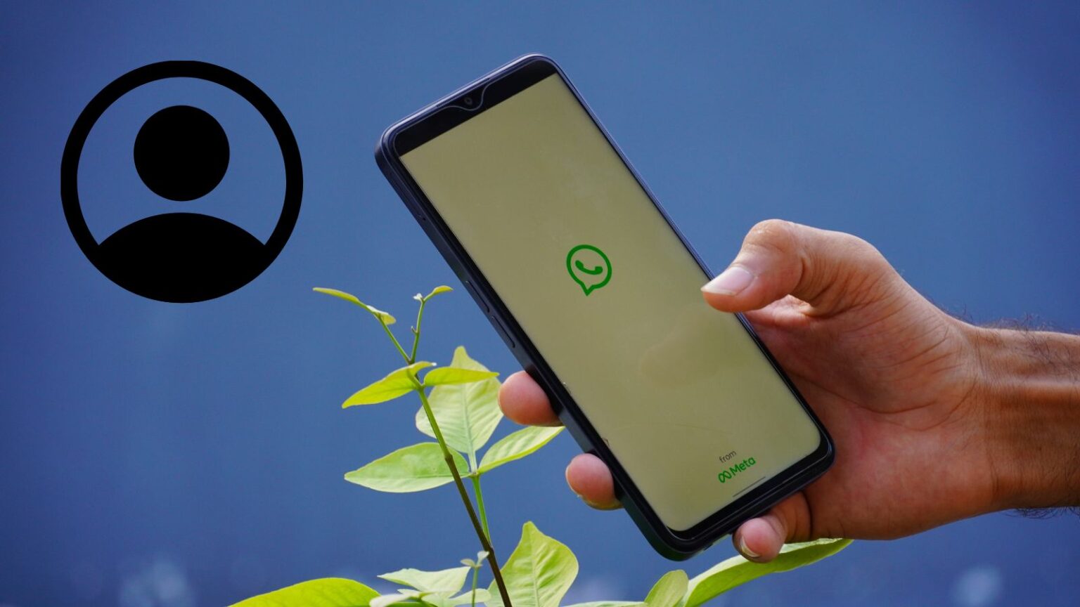 In arrivo gli username su WhatsApp