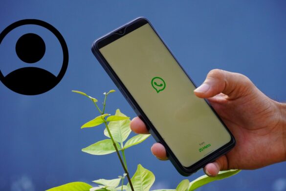 Arrivano gli username su WhatsApp: ecco per cosa servono