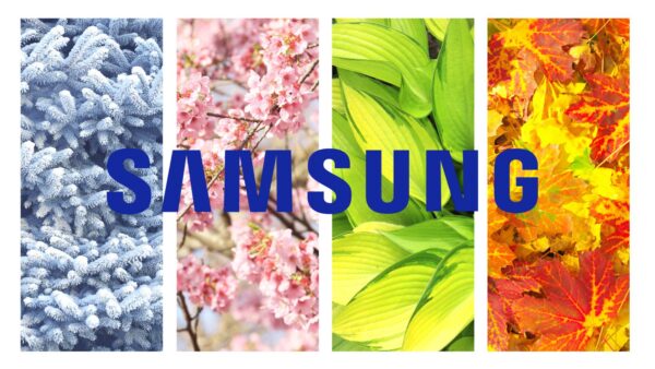 Le quattro stagioni di Vivaldi diventano suonerie per Samsung