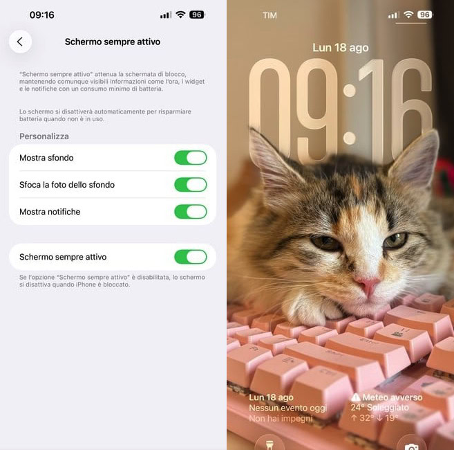 Screenshot Screenshot