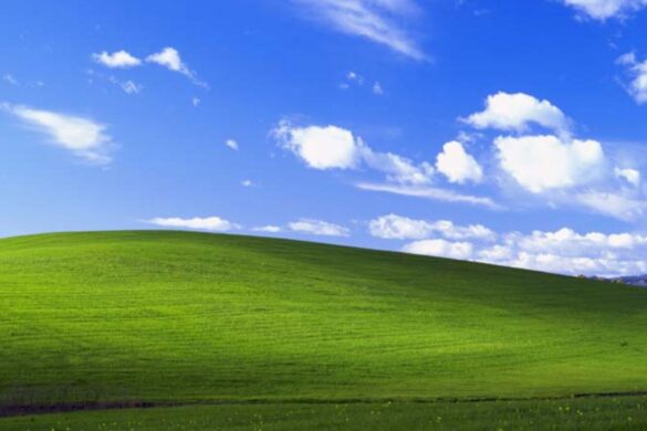 Crocs a tema Windows XP: nostalgia tech ai piedi con la collina di “Bliss”