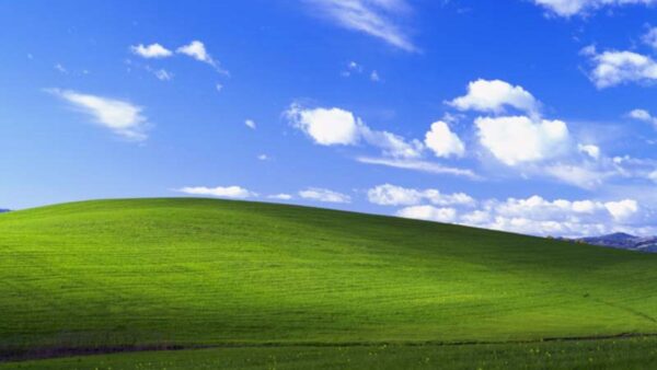Windows sfondo Microsoft anni Crocs