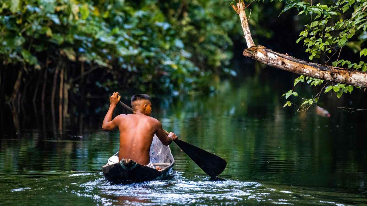 Il Brasile sospende la moratoria sulla soia, aprendo nuove aree alla coltivazione e aumentando i rischi per l’Amazzonia.
