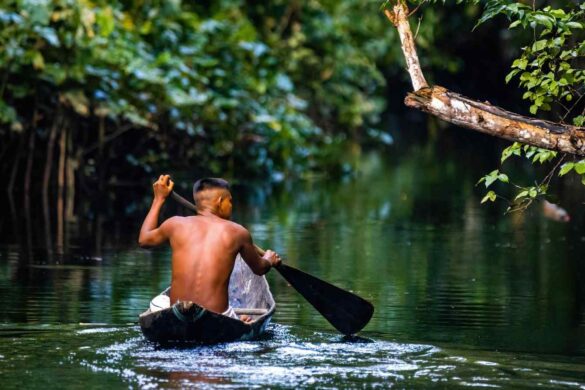 Amazzonia a rischio: nuove aree aperte alla soia