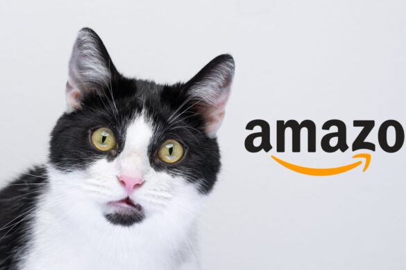 Amazon è ASSURDA: solo oggi in sconto TUTTO del 70%