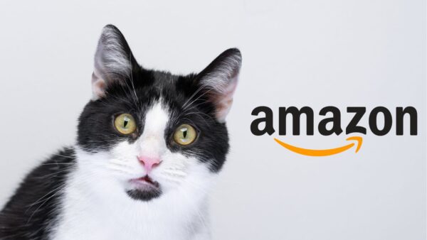 Amazon è ASSURDA: solo oggi in sconto TUTTO del 70%