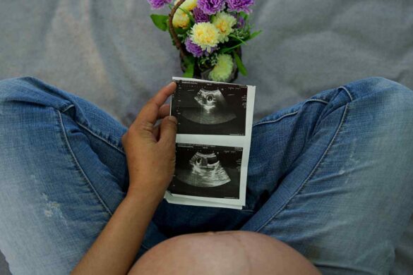 Osservato l’embrione mentre rimodella l’endometrio