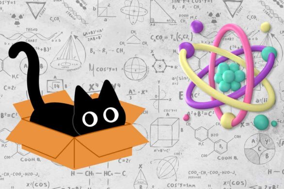 Il gatto di Schrödinger animato da 2.024 atomi