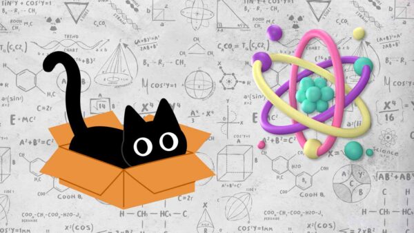 Scienziati a Shanghai hanno creato il video più piccolo al mondo animando il gatto di Schrödinger con 2.024 atomi.