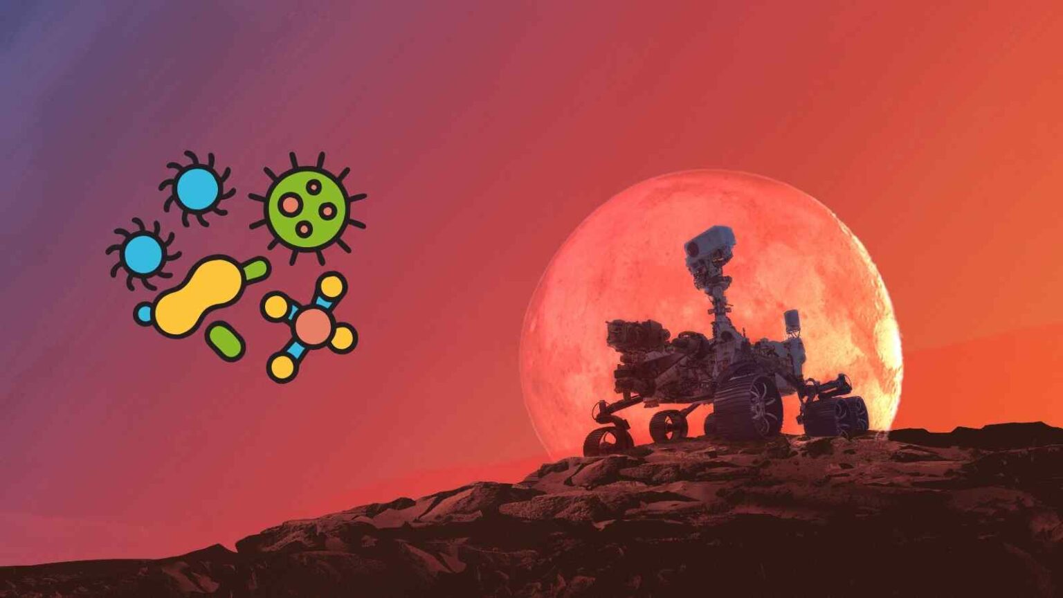 Il rover Perseverance fotografa su Marte un masso conico, Horneflya, ricco di sferule minerali e dal curioso aspetto a elmo.