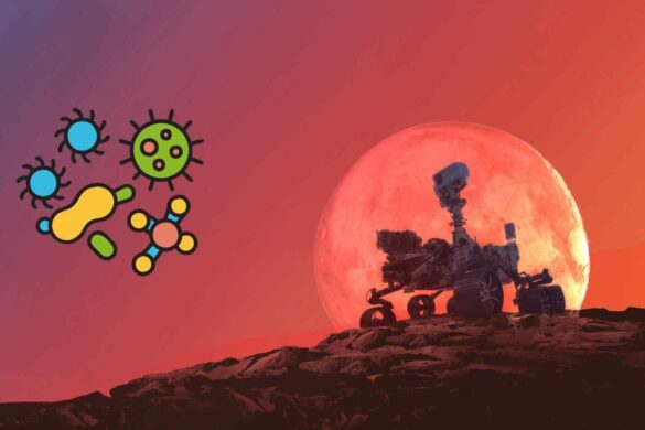 Horneflya, il masso marziano che incuriosisce gli scienziati