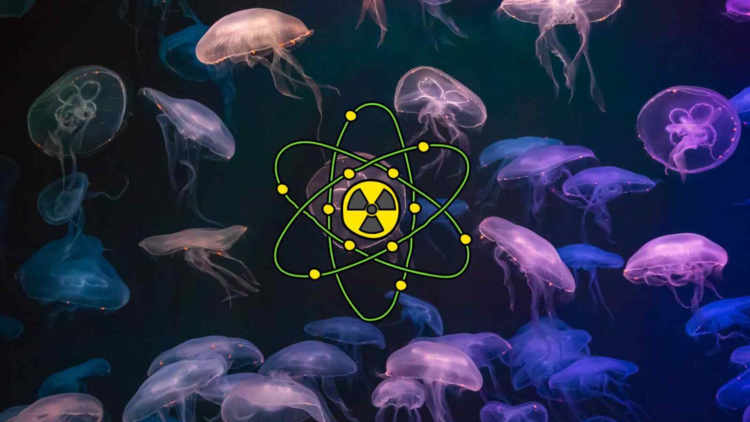 A Gravelines, la più grande centrale nucleare francese ha fermato tre reattori per un’invasione di meduse senza rischi per la sicurezza.