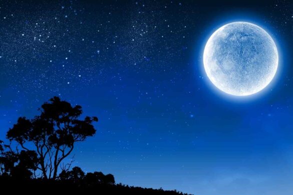 Firefly e NASA: la strategia per il polo sud della Luna