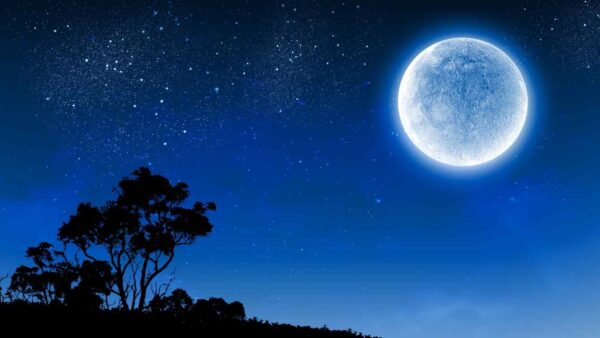 Firefly Aerospace guida la missione NASA 2029 per esplorare il polo sud lunare con lander, rover e il veicolo orbitale Elytra.