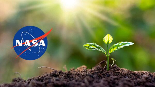 La NASA potrebbe spegnere i satelliti OCO, fondamentali per monitorare CO₂ e salute delle piante a livello globale.