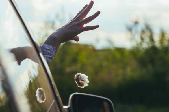 Rifiuti dal finestrino? La multa arriva a casa