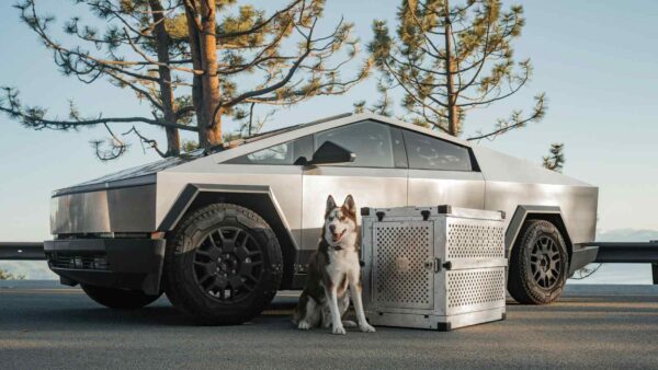 L’esercito USA usa due Tesla Cybertruck come bersagli per test missilistici, verificando la resistenza del veicolo futuristico.