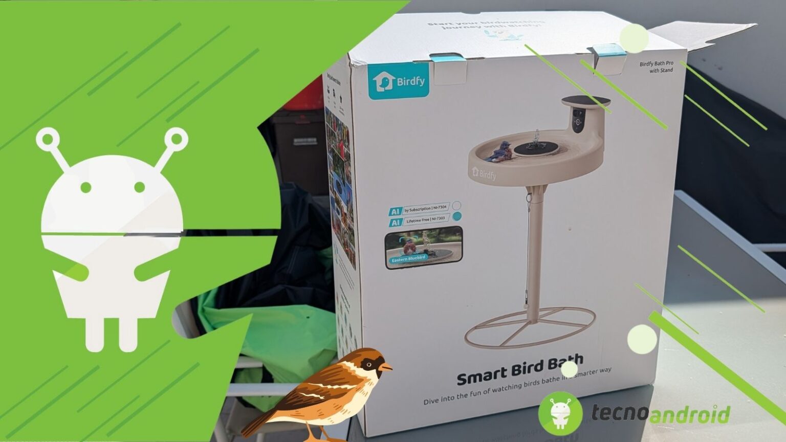 Birdfy Bath Pro: la fontana intelligente per uccelli con AI | RECENSIONE