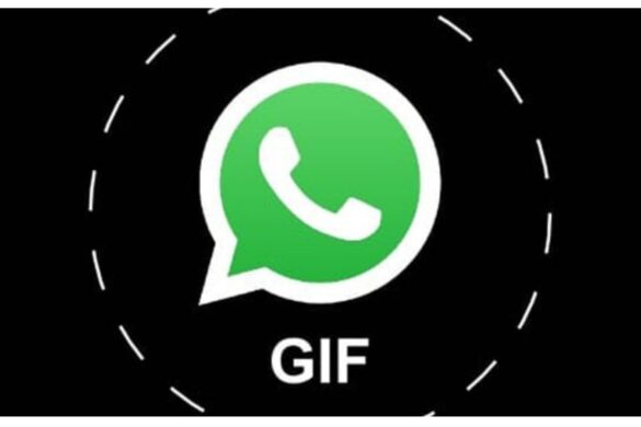 WhatsApp rinnova la selezione delle GIF