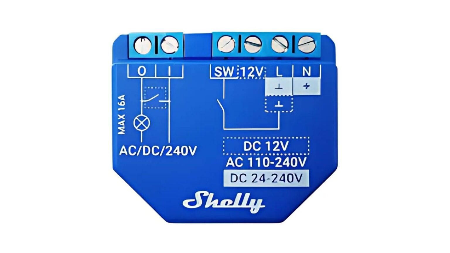 Shelly