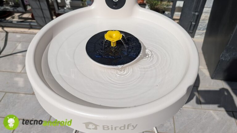 fontana - utilizzo fontana uccelli