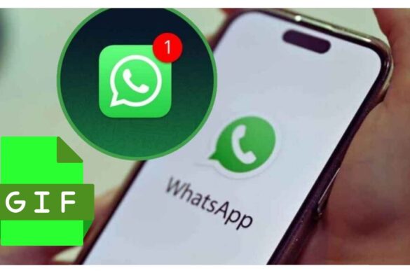 WhatsApp rinnova la tastiera GIF: più spazio e praticità per gli utenti