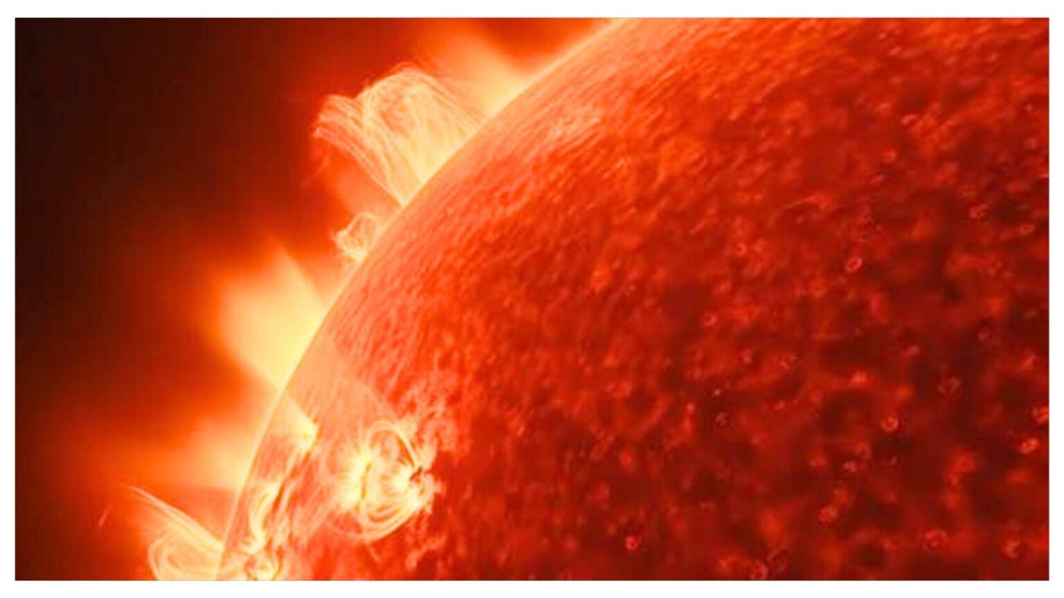 Sole
