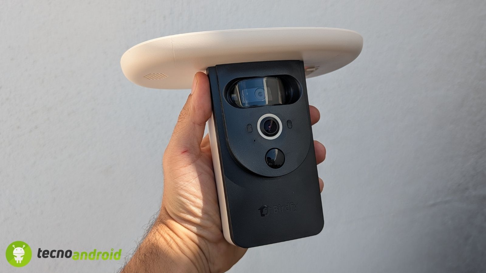 Birdfy Bath Pro: la fontana intelligente per uccelli con AI | RECENSIONE