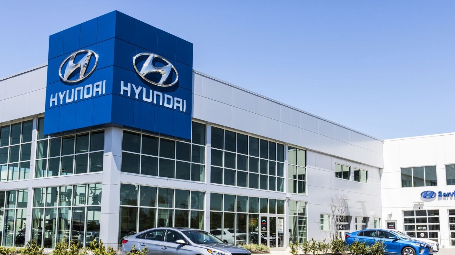 Hyundai stupisce con la sua innovazione: ecco la nuova pelle 100% vegetale