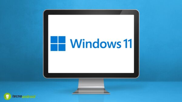 Windows 11